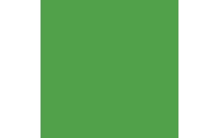 Productafbeelding Amsterdam Acrylverf Standaard Serie (Briljant groen, 120 ml)