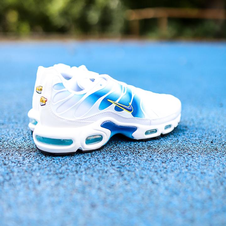 Actual product image Nike Air Max Plus (40)