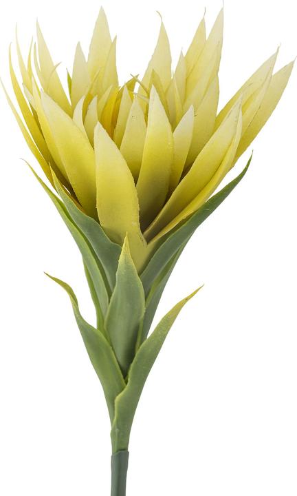 Produktbild Bloomingville Lily (76 cm)