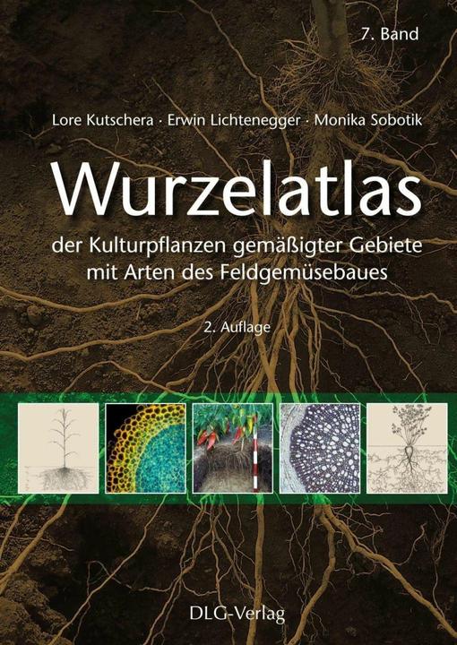 Produktbild Wurzelatlas der Kulturpflanzen gemässigter Gebiete mit Arten des Feldgemüsebaues (Deutsch, Erwin Lichtenegger, Monika Sobotik, Lore Kutschera, 2018)