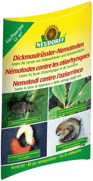 Neudorff Nematodi per il tonchio del sud (ordine con buono d'ordine) (Insetti nocivi)