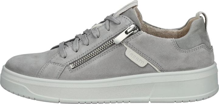 Aluminio (light grey) 2510