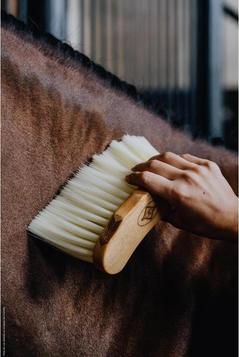 Actual product image Grooming Deluxe Middle Brush long