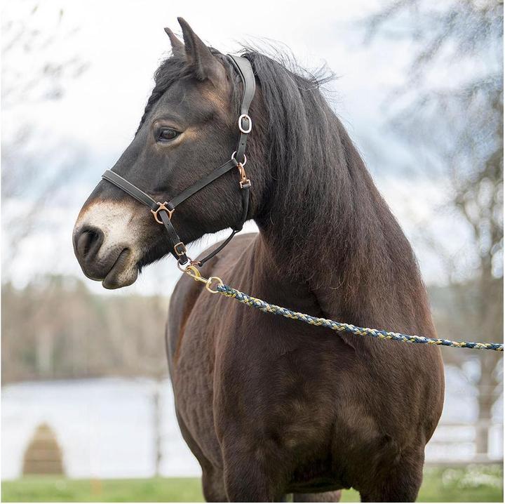 Immagine prodotto Soulhorse Elegantes Lederhalfter aus Fettleder