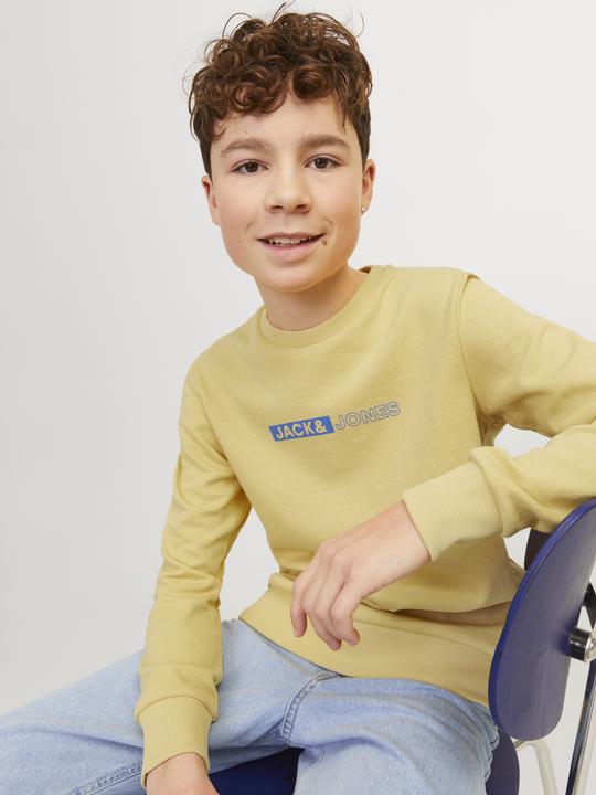 Immagine prodotto Jack & Jones Felpa stampata con collo rotondo Per i ragazzi Felpa con collo rotondo (176)