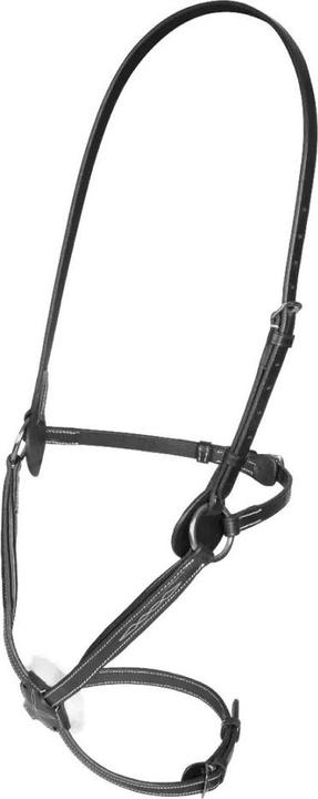 Immagine prodotto Velociti Naso in pelle Brackley