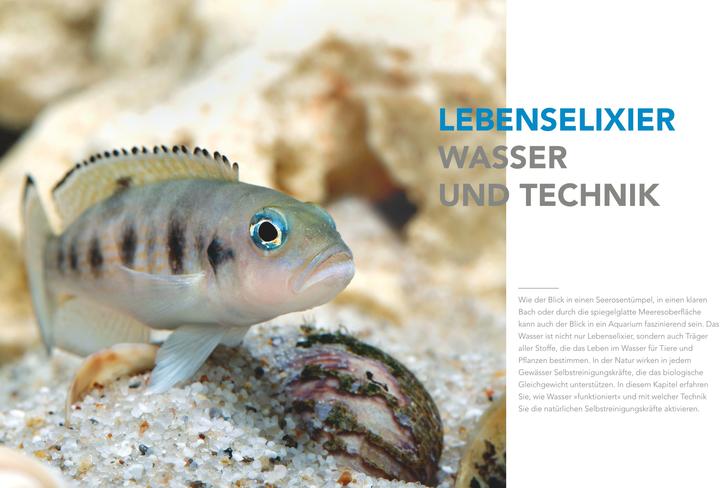 Actual product image Das grosse Praxishandbuch Aquarium (German, Ulrich Schliewen, 2017)