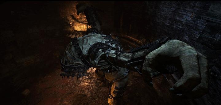 Immagine prodotto GED Dragon's Dogma Dark Arisen (PS3)