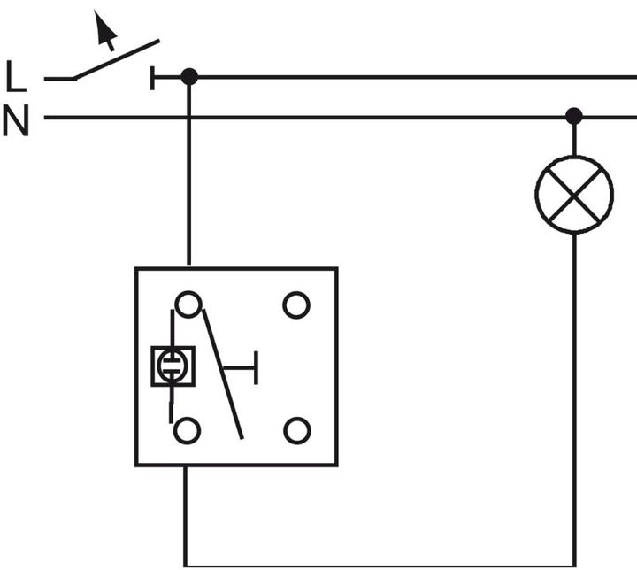 Actual product image Busch-Jaeger toggle