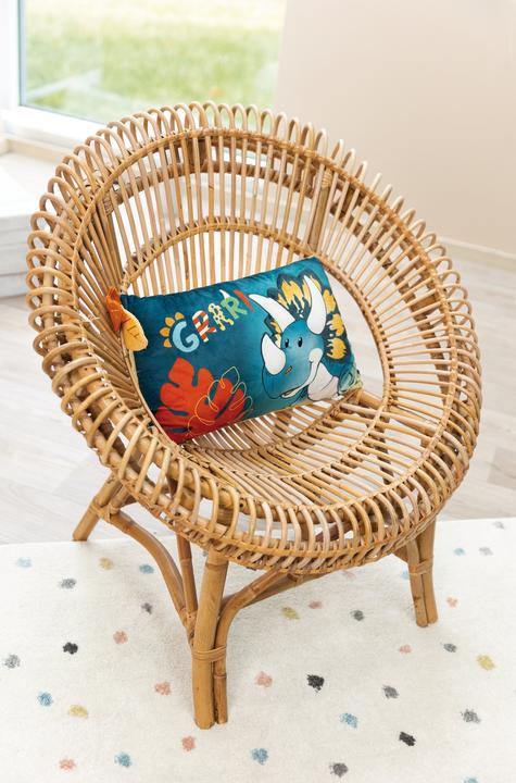 Image du produit NICI Coussin Cerastupsy (43 x 25 cm)