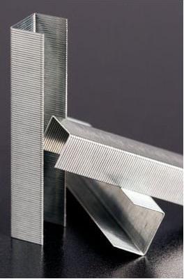 Immagine prodotto Rapid Standard (1000 x)