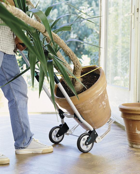 Produktbild wolfcraft wolfcraft 1 TS 600 - Transportsystem (70 kg)