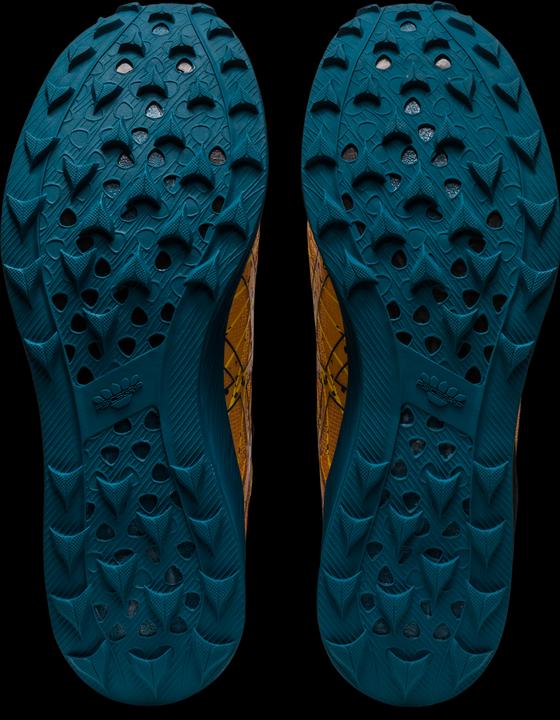 Produktbild ASICS Performance Fujispeed (44)