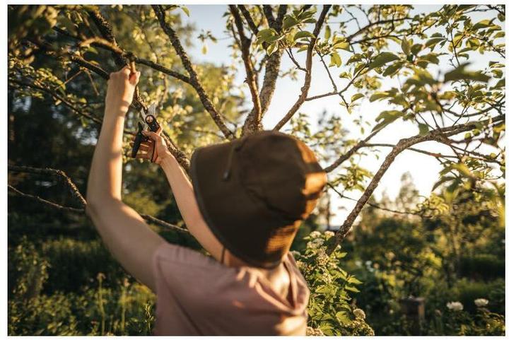Image du produit Fiskars Plus PowerLever Bypass Secateurs P721