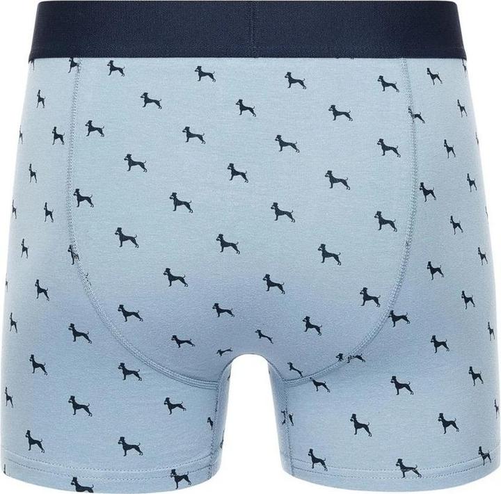 Immagine prodotto Bewley & Ritch Mirador Boxer Uomo Misura Confezione 5 (L, Confezione da 5 pezzi)