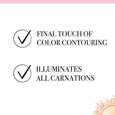 Produktbild Bourjois Le Petit Strober (00, Highlighter, 2.30 g)
