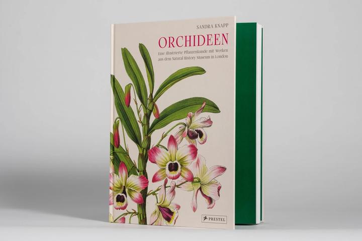 Produktbild Orchideen (Deutsch, Sandra Knapp, 2022)