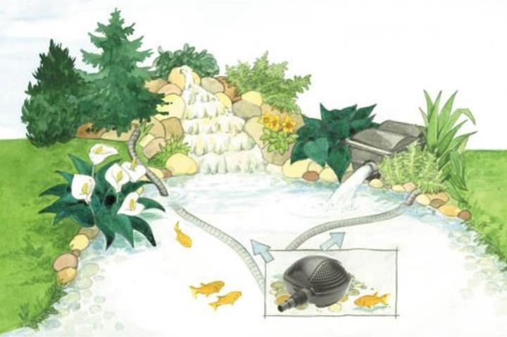 Produktbild Pontec PondoMax Eco