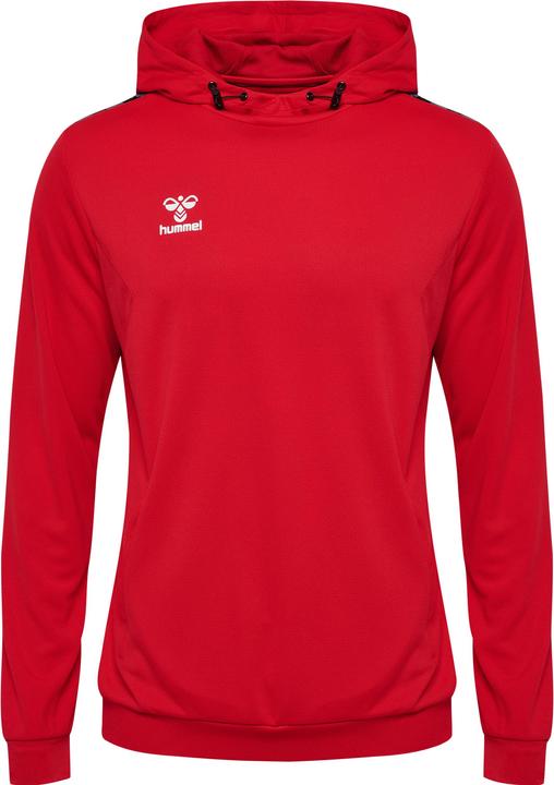 Actual product image hummel Hmlauthentic Pl Hoodie (S)