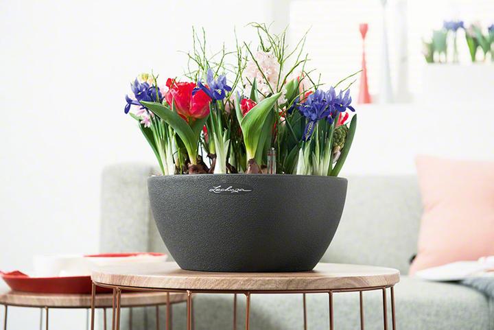 Produktbild Lechuza Cubeto 40 (40 cm)