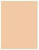 Produktbild MAC Cosmetics Studio Fix Powder Plus Foundation (C4.5  Peachy Golden)
