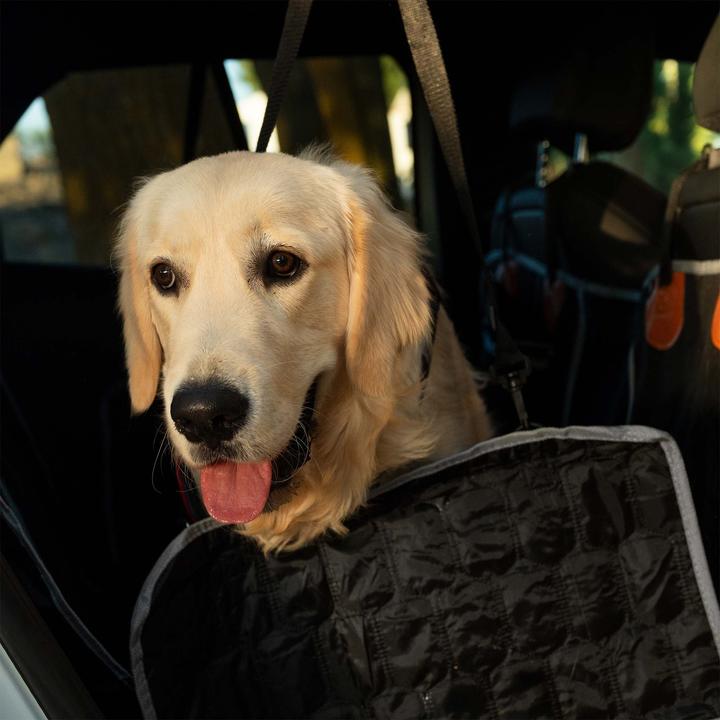 Actual product image Fudajo Rear seat cover (Dog, Foldable, Machine washable, Washable)
