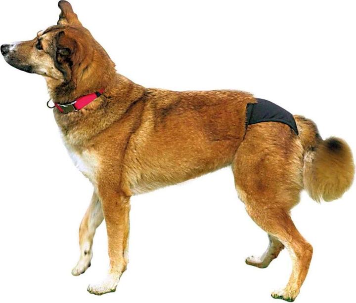 Produktbild Trixie Schutzhöschen XL 60-70cm (XL, Hundeoverall)