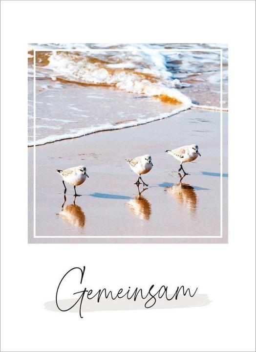 Wonderfully made - postcard set (1 pcs.)