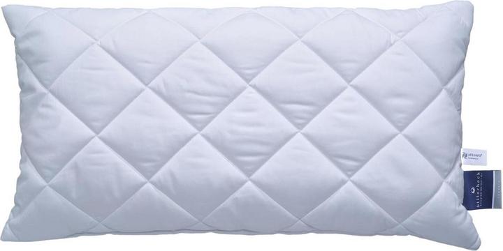 Produktbild Billerbeck Variolux® (40 x 80 cm)