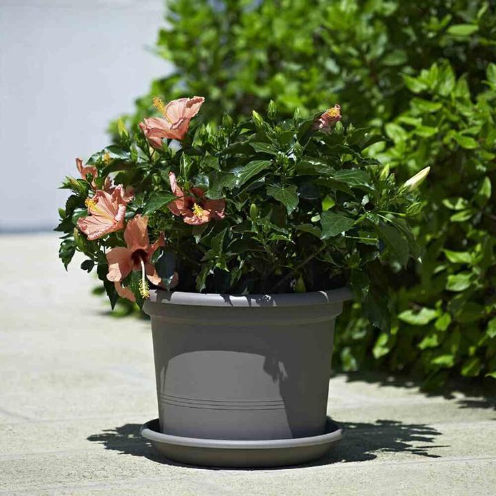 Productafbeelding Euro3plast Plantenbak (25 cm)
