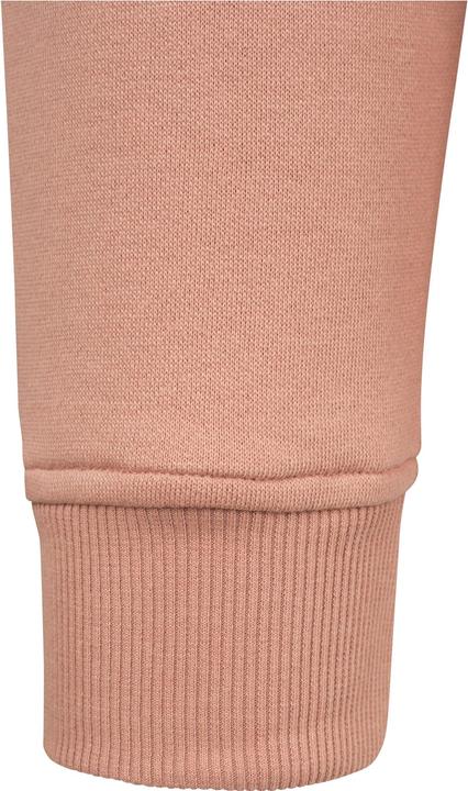 Image du produit Urban Classics Sweat à capuche (M)