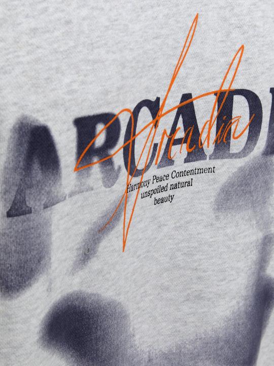 Actual product image Jack & Jones Jjecharge Graphic Sweat O-N Styd Aw24 Ln (XL)