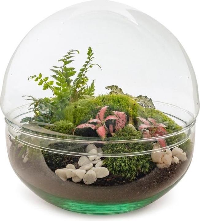Image du produit Green Bubble Pack de bricolage : Île de Zou (19.50 cm)