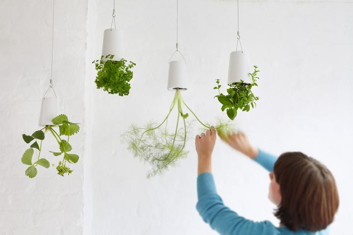 Immagine prodotto boskke Fioriera Sky Small