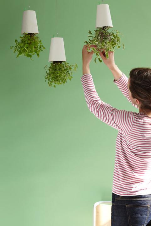 Immagine prodotto boskke Fioriera Sky Small