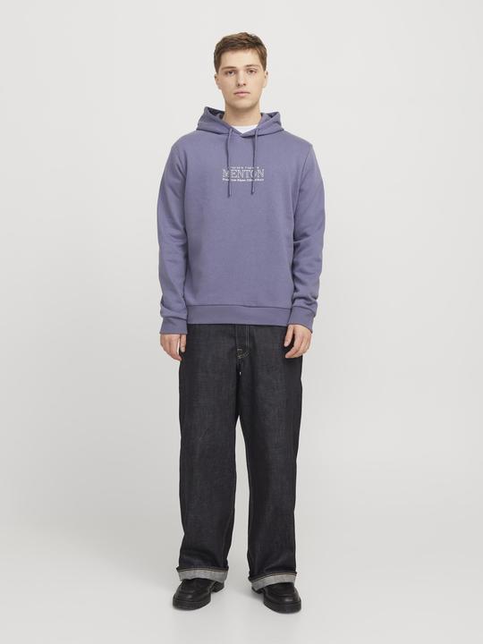 Produktbild Jack & Jones Rückenprint Kapuzenpullover Kapuzenpullover (S)