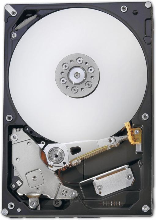 Actual product image IBM 3TB 6GBps SAS Hard Disk Drive (3 TB, 3.5")