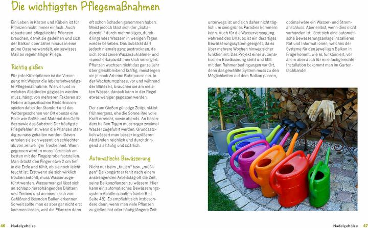 Produktbild Der immergrüne Balkon. Ganzjährig gestalten mit winterharten Pflanzen (Deutsch, Ursula Kopp, 2024)