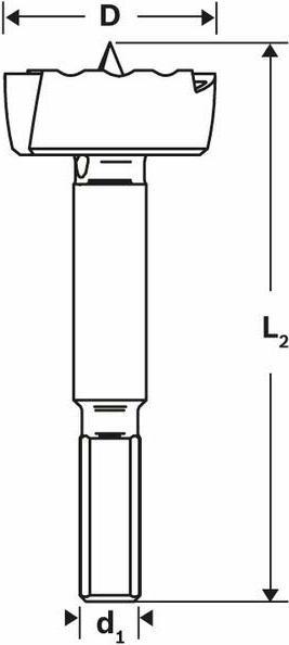 Immagine prodotto Bosch Professional Zubehör Punta Forstner (22 mm)