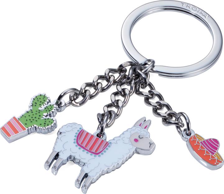 Actual product image Troika PAKO key fob