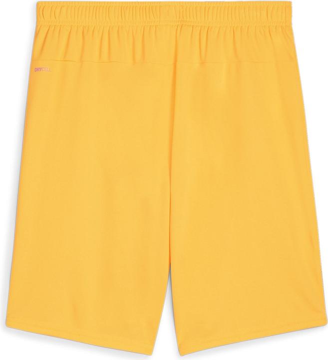 Actual product image Puma teamGOAL shorts (XXL)