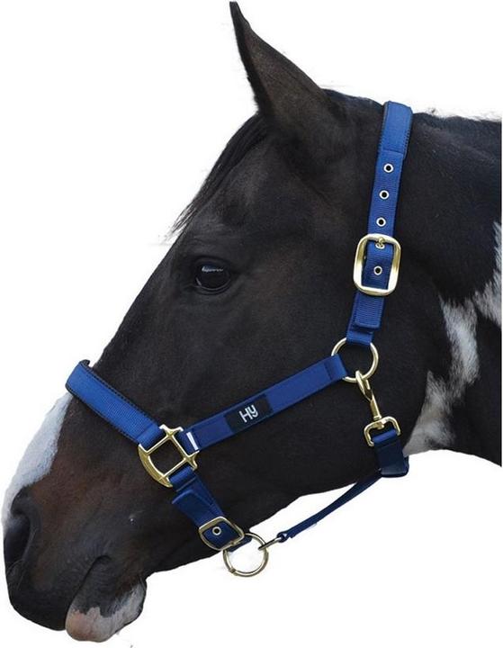 Immagine prodotto Hy Health Hy Grand Prix Halter
