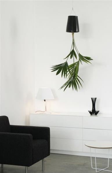 Actual product image boskke Sky Planter Ceramic Medium (20 cm)