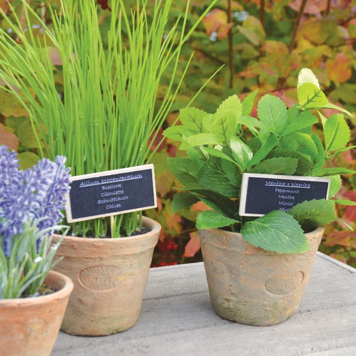 Produktbild Esschert Design AH009 (15.50 cm)
