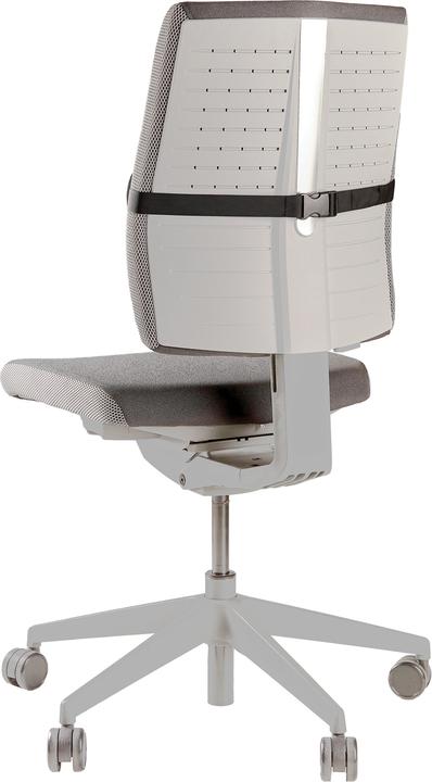 Produktbild Fellowes Breyta Lendenkissen