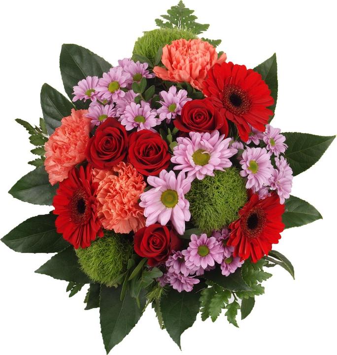 Floramall Passion (Cut flowers)