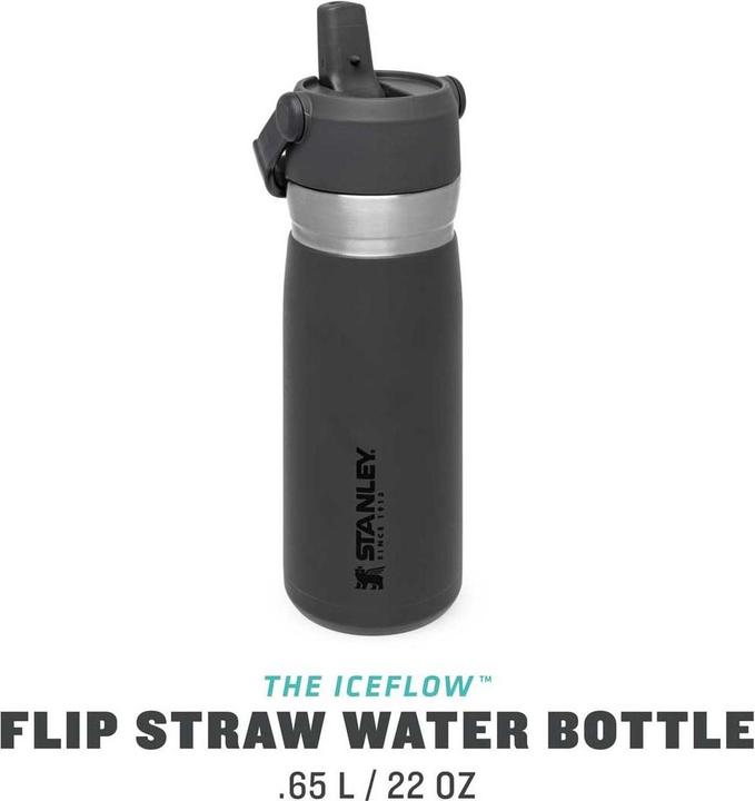 Actual product image Stanley 1913 IceFlow (0.65 l)