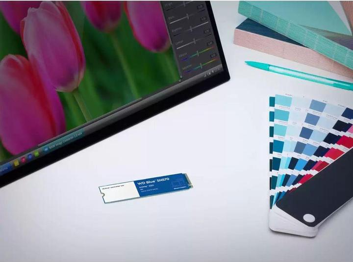 Image du produit SanDisk BLUE SN570 NVME SSD 1TB (1000 Go, M.2 2280)