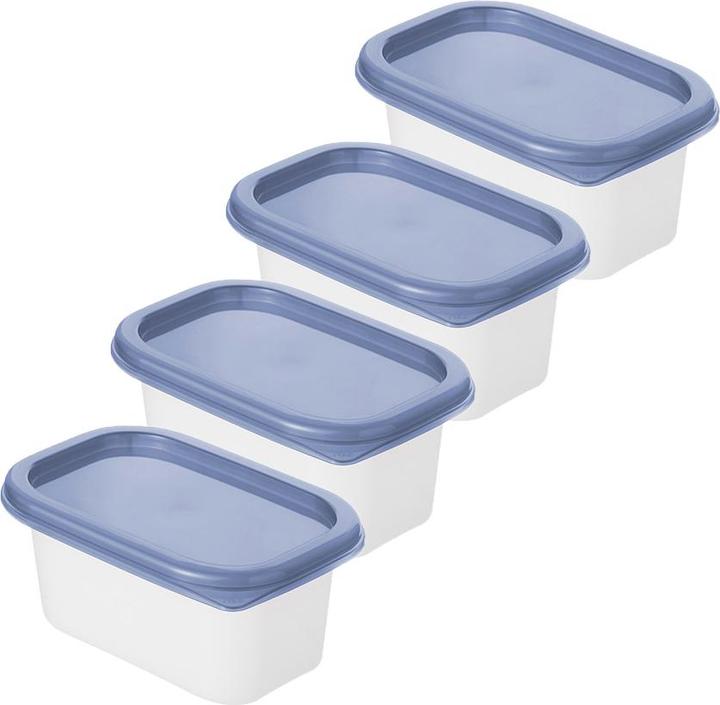 Rotho Set of 4 freezer jars 0.2 l DOMINO (0.20 l)