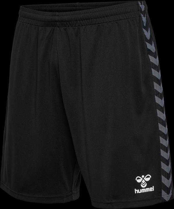 Actual product image hummel Hmlauthentic Pl Shorts (L)